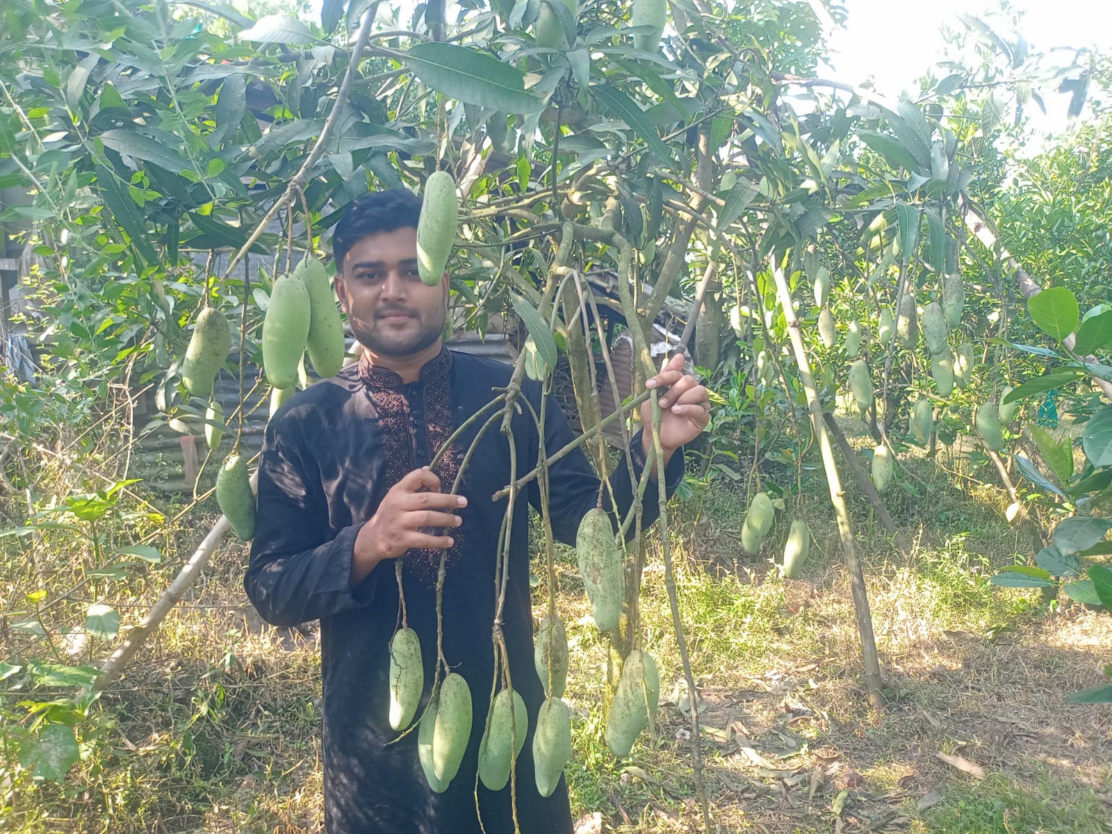 টিউশনের টাকায় শুরু ফল বাগান, এখন বছরে আয় ৭ লাখ, বরিশালের যুবক সাকিনের বাগানে ৮০ জাতের আম, বিদেশি ফলেও সফলতা