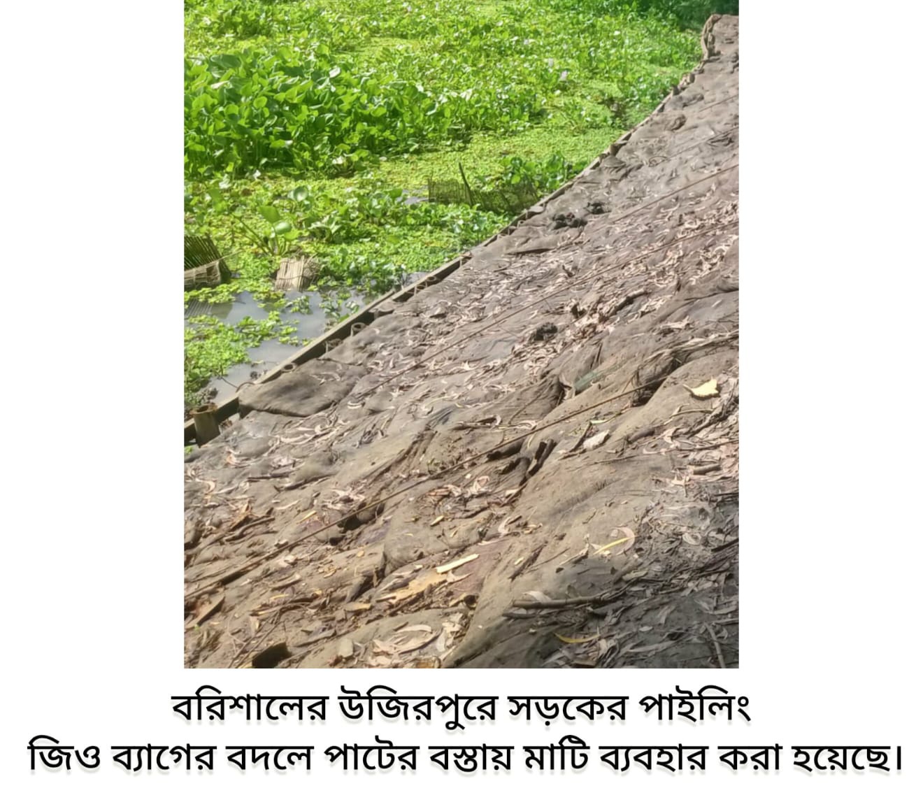 উজিরপুরে সড়কের পাইলিংয়ে  জিও ব্যাগের বদলে পাটের বস্তায় মাটি!