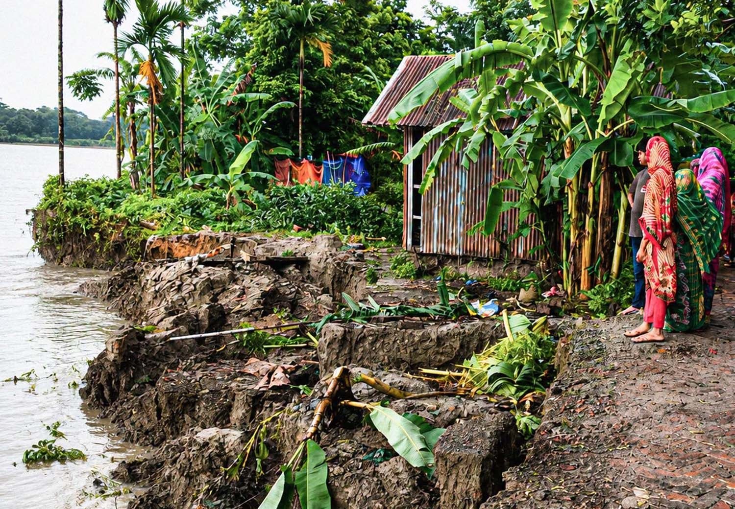 রাক্ষুসি আড়িয়াল খাঁ নদীর  ভাঙনে একদিনে ১০ বাড়ি বিলীন