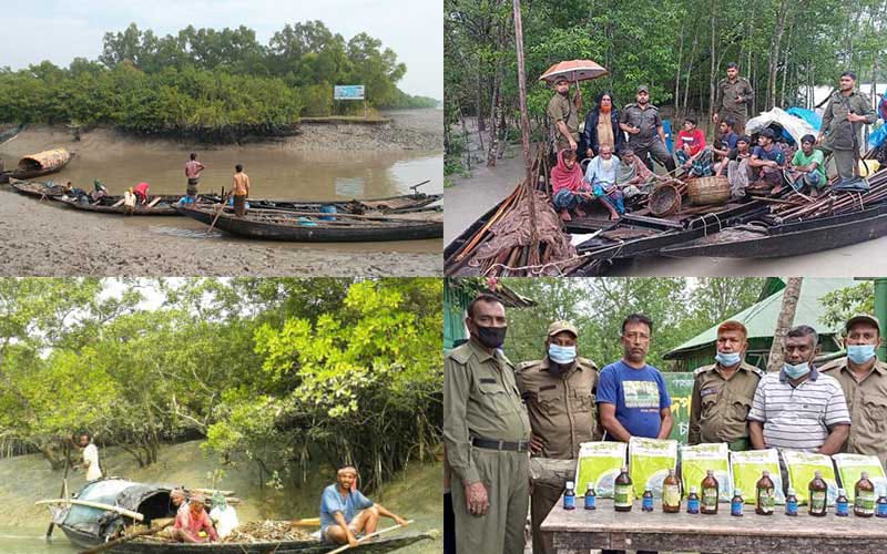 পশ্চিম সুন্দরবনে বন অপরাধের লাগাম টানতে হিমশিম বন বিভাগ: দুই মাসে ৮৯ মামলা