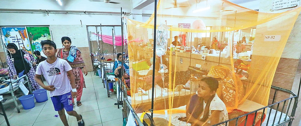 মশা মারতে ৪৮ হাজার কমিটি কাগজে আছে, বাস্তবে নেই