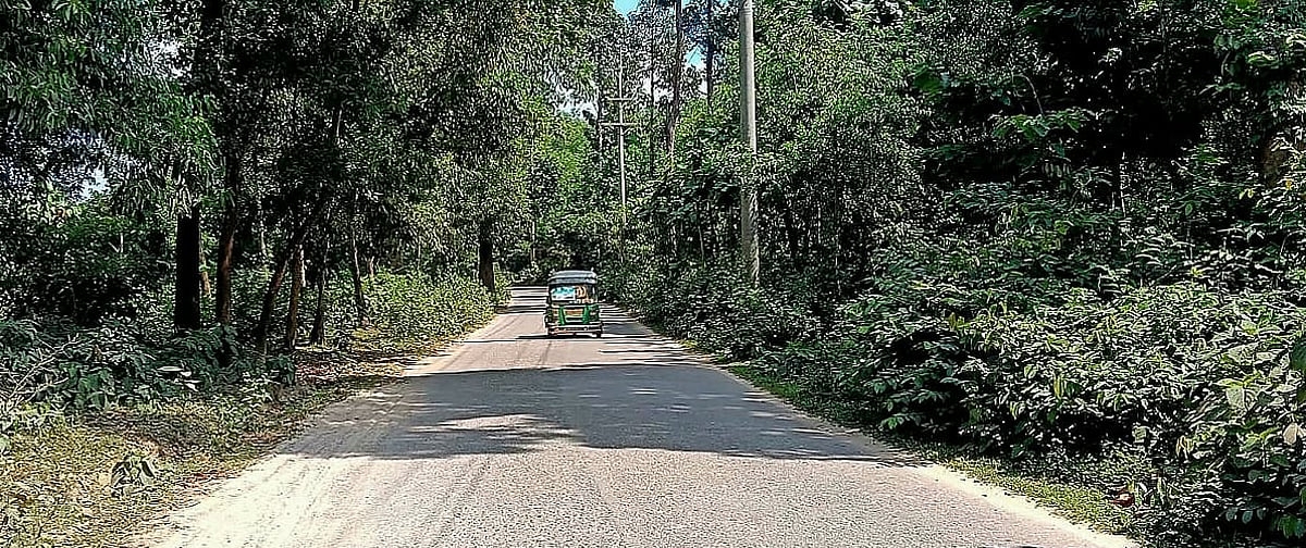 এই সড়কে দিনে চলতেও ভয়