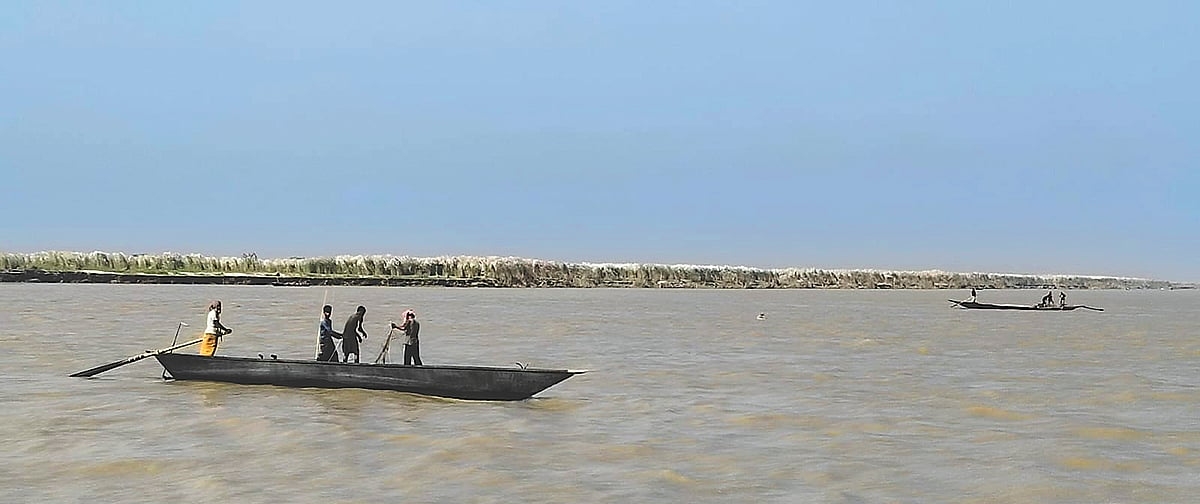ইলিশ রক্ষায় নিষেধাজ্ঞা, পদ্মায় অন্য চিত্র