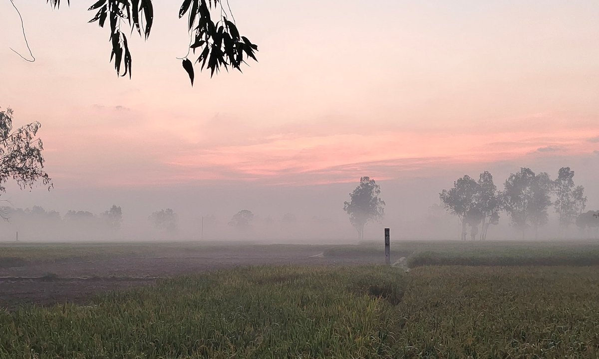 পাঠকের ছবি (২৭ অক্টোবর ২০২৬)